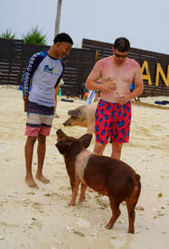 Two men interact with a pig on the beach, showcasing a unique wildlife experience in the Bahamas — a popular attraction for visitors.