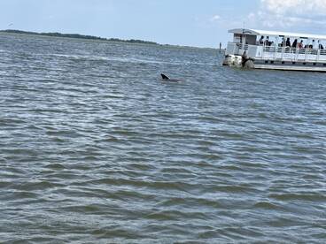 AMAZING TRIP!! Captain James is the GOAT