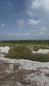 An unclear view of a natural landscape with vegetation and a cloudy sky, lacking a distinct focal point.