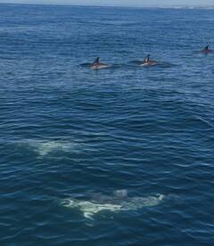 Amazing day on the sea