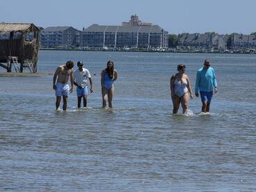 A group of friends enjoys a sunny day walking in shallow water, creating memorable moments at the beach.