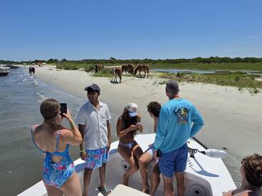 A lively group enjoys a day on the boat, capturing moments while wild horses graze on the beach nearby — a perfect blend of adventure and nature.