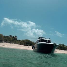 A striking view of a yacht anchored near a sandy beach, showcasing its sleek design against a backdrop of clear blue skies and lush greenery.