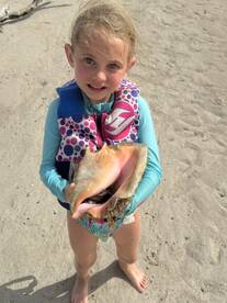 A young girl proudly holds a large conch shell on the beach, showcasing a delightful moment of exploration and discovery in nature.