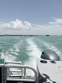 A sleek speedboat cuts through the turquoise waters, showcasing the vibrant marine environment and the excitement of a day on the water.