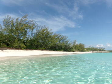 A serene view of a pristine beach with turquoise waters and lush greenery, perfect for a relaxing getaway or island exploration.