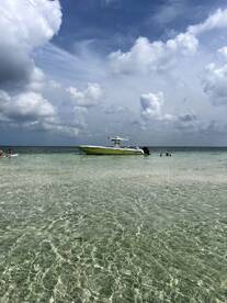 The boat 