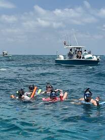 A lively group enjoys snorkeling in clear waters, showcasing the fun and excitement of underwater exploration.