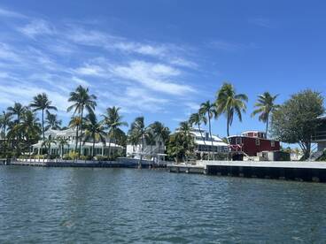 A scenic view of waterfront properties surrounded by palm trees under a clear blue sky, showcasing the beauty of tropical living.