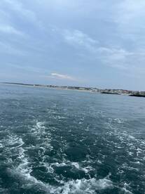 A serene view of the coastline with gentle waves, perfect for showcasing the beauty of a day on the water.