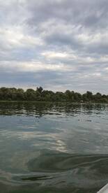 A tranquil view of a riverbank with trees under a cloudy sky, capturing the serene atmosphere of nature.