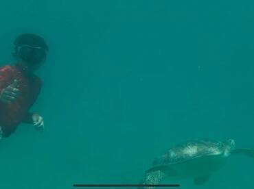 A child gives a thumbs up while swimming alongside a sea turtle in crystal-clear waters — a memorable wildlife encounter perfect for ocean adventures.