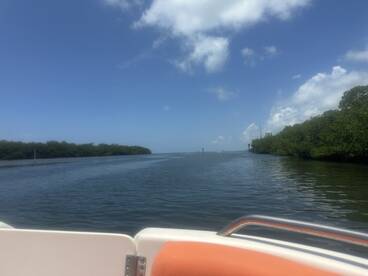 A scenic view of a winding waterway surrounded by lush mangroves, perfect for exploring the natural beauty of the coastline.
