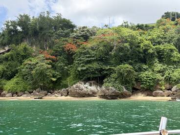A picturesque view of a lush coastline with vibrant greenery and rocky formations, perfect for exploring hidden beaches and enjoying nature's beauty.