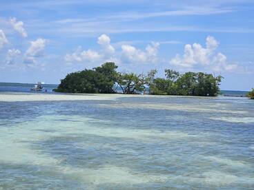 A picturesque view of a small island surrounded by clear waters, showcasing the natural beauty of the coastline — perfect for eco tours and scenic boat trips.