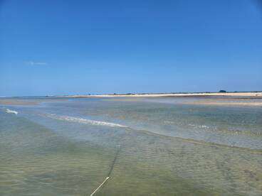 Masonboro Island excursion