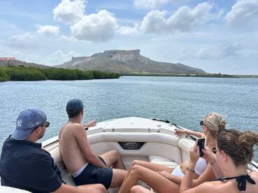 A group of friends enjoys a scenic boat ride, taking in the beautiful views of the landscape while relaxing on the deck. Perfect for a day of adventure and exploration on the water.