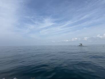 A serene view of a boat cruising on calm waters under a clear sky, perfect for showcasing peaceful boating experiences.