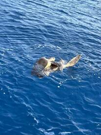 Wonderful snorkel trip!