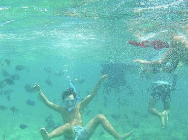 A child enjoys snorkeling among colorful fish in clear waters, showcasing a vibrant underwater experience perfect for family adventures.