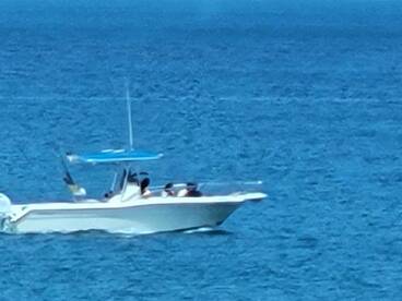 A speedboat glides through the vibrant blue waters, showcasing a lively group onboard enjoying their time on the water.