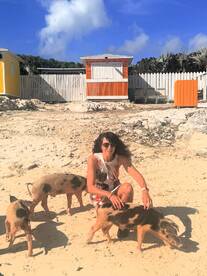 A woman interacts with friendly pigs on the beach, showcasing a unique wildlife experience in the Bahamas.