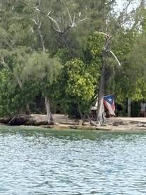 A view of a shoreline with trees and a flag, but the image is unclear and lacks focus.