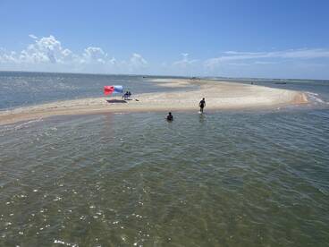 Guests enjoy a sunny day at a sandbar, with some swimming and relaxing on the beach — a perfect spot for fun and relaxation on the water.