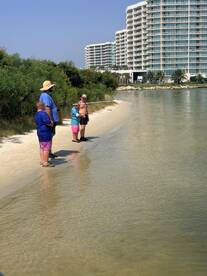 A family enjoys a day of fishing along the beach, creating lasting memories in a beautiful outdoor setting.