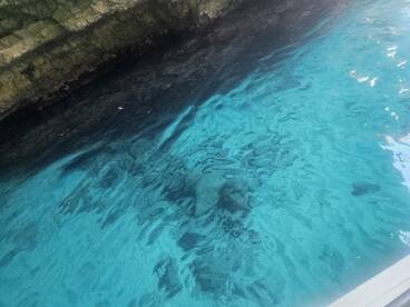 An unclear image of water with rocky formations beneath, lacking identifiable features or subjects.