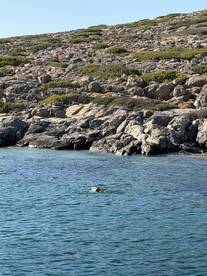A swimmer enjoys the clear waters near a rocky coastline, showcasing the beauty of outdoor adventures and water activities.
