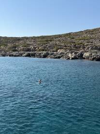 A person enjoys a refreshing swim in the crystal-clear waters near a rocky coastline, showcasing the beauty of a perfect day on the water.