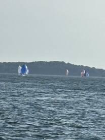 A picturesque scene of sailboats participating in a regatta, showcasing vibrant sails against the serene water backdrop.