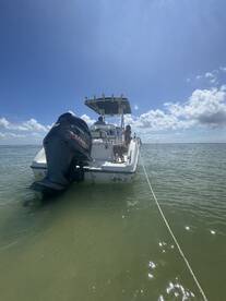 Best Captain and Best experience ever!!!