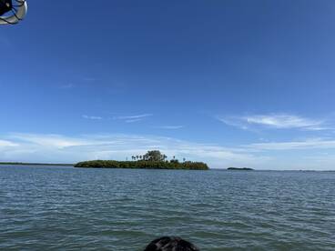 A picturesque view of a lush island surrounded by tranquil waters, perfect for exploring the natural beauty of coastal landscapes.