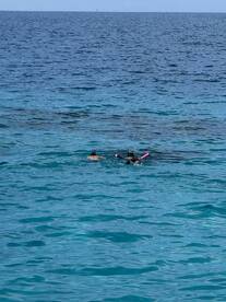 A group enjoys snorkeling in the clear turquoise waters, showcasing the vibrant marine life and perfect conditions for underwater exploration.