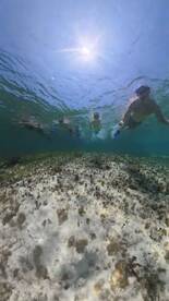A group of snorkelers explores the vibrant underwater world, showcasing a fun and adventurous day in the water — perfect for family outings or aquatic adventures.