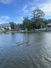 best boat tour ever!!!