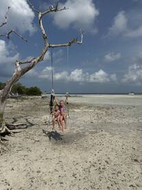 Swinging in Paradise 