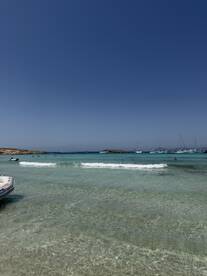 Incredible Trip