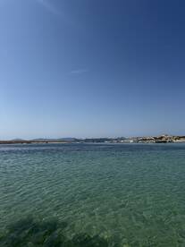 Incredible Trip