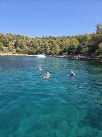 A group of friends enjoys a refreshing swim in crystal-clear waters, surrounded by lush greenery — a perfect summer getaway.