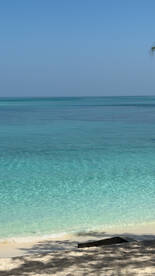 A serene view of clear turquoise waters meeting a sandy beach, perfect for relaxation and beach activities.