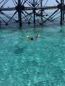 A child enjoys snorkeling in crystal-clear waters beneath a pier, showcasing the vibrant marine life and perfect conditions for underwater exploration.