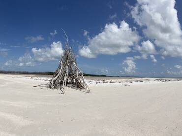 A scenic view of a beach with a driftwood structure under a bright blue sky, showcasing the natural beauty of the coastline.