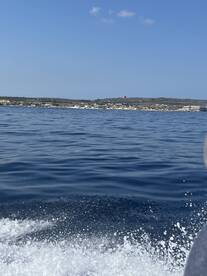 Perfect Boat Trip! 