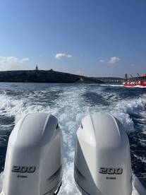 Perfect Boat Trip! 