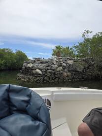 A scenic view from a boat showcasing a rocky outcrop surrounded by lush mangroves, perfect for exploring nature's beauty while on the water.