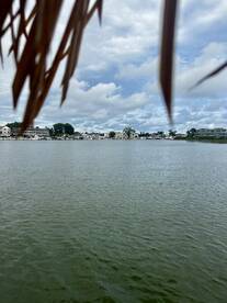 A view of a waterway with buildings in the background, partially obscured by foliage. The image lacks clarity and detail.