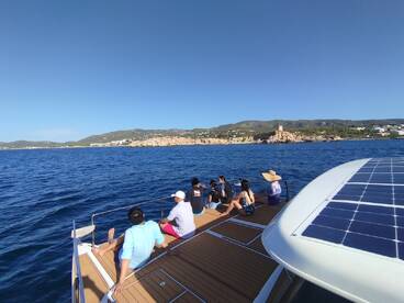 Great experience